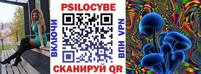где можно купить   Пересвет  Псилоцибиновые грибы MAGIC MUSHROOMS 